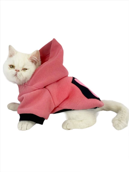 Student Rabbit Sweatshirt Kedi Kıyafeti Kedi Elbisesi - 2