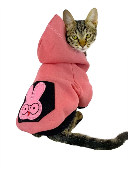Student Rabbit Sweatshirt Kedi Kıyafeti Kedi Elbisesi - 4