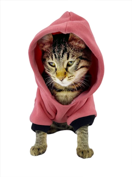 Student Rabbit Sweatshirt Kedi Kıyafeti Kedi Elbisesi - 3