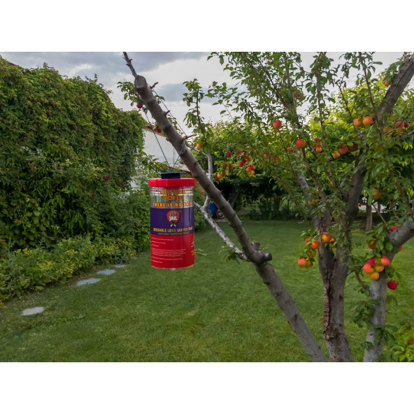 FLY JAIL LONG JAR, 1.5 LİTRE KAVANOZ TİPİ KARASİNEK TUZAĞI - 3