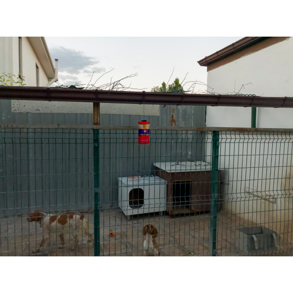 2 ADET FLY JAIL LONG JAR, 1.5 LİTRE KAVANOZ TİPİ KARASİNEK TUZAĞI - 2