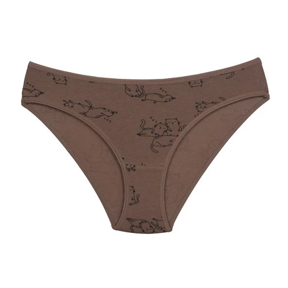 ASM1106 Kadın 3 lü Renkli Karışık Pamuklu Bikini Külot - 2