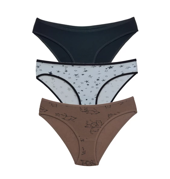 ASM1106 Kadın 3 lü Renkli Karışık Pamuklu Bikini Külot