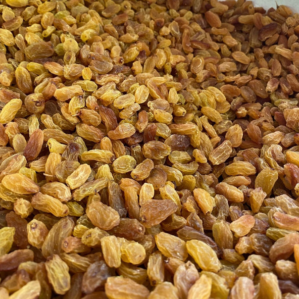 ÇEKİRDEKSİZ KURU ÜZÜM 500 gr - 2