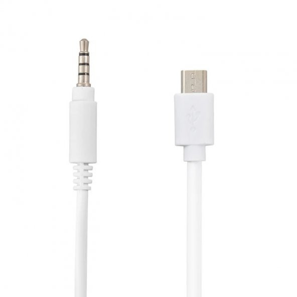 Micro usb to aux discount