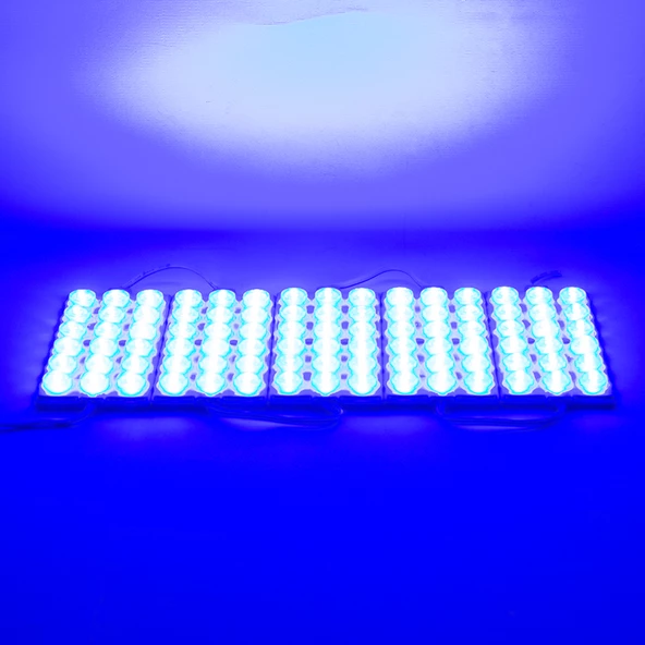 MODUL LED 12V 6W MAVİ 13660-3030 POWERMASTER - 2