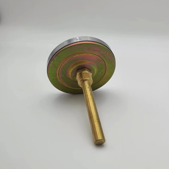 Termometre Arkadan Çıkışlı Q100 - 0 - 160°C 10 Cm 1/2 - Resim 6