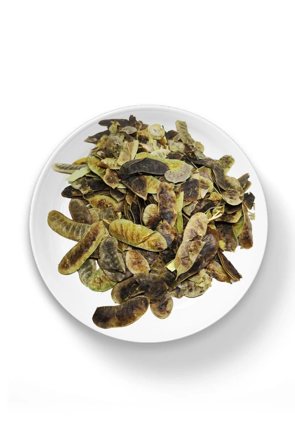 Organik Bitkim Açlık Otu (Folliculj Sennae) 70 gr - Resim 2