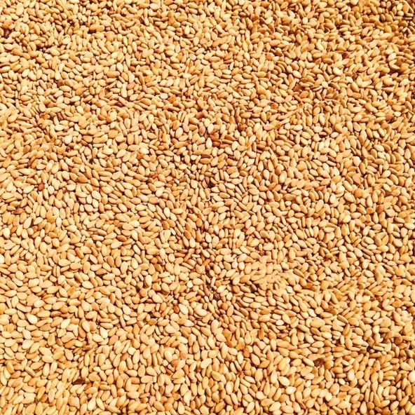 Bozkırım Odun Ateşinde Kavrulmuş Susam 250gr - Resim 3