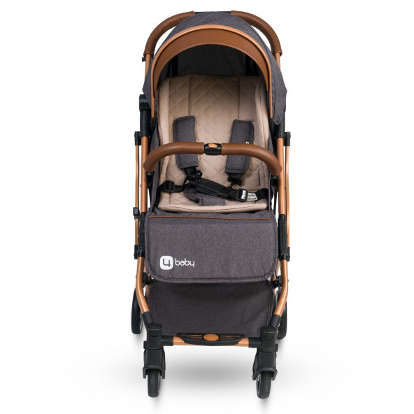 4 Baby AB-380 Drone Gold Antrasit Kabin Tipi Bebek Arabası - 5