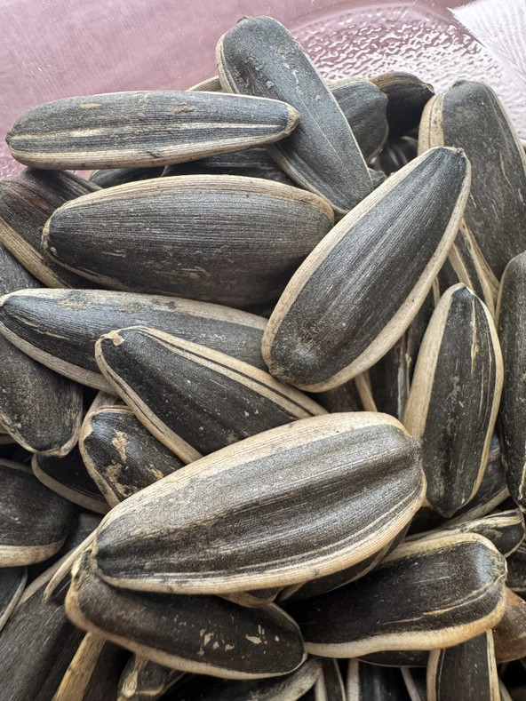 SİYAH ÇEREZLİK AY ÇEKİRDEĞİ ÇİĞ, KAVRULMUŞ VE TUZLU ÇEŞİTLERİNDE - 4