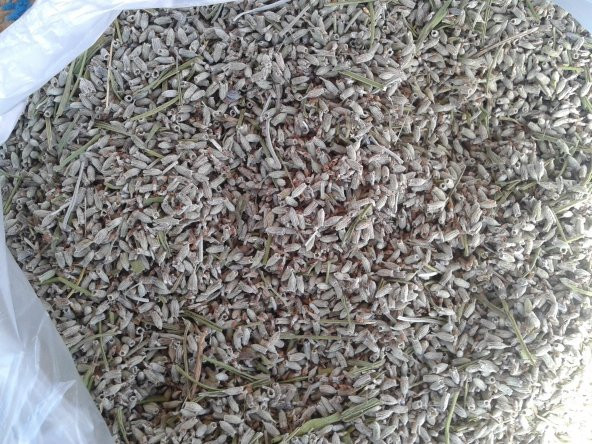 Doğal Lavanta Çiçeği Kurusu 50 Gr - 2