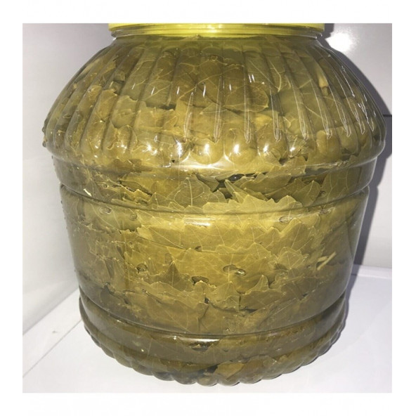 more home  organik Asma Yaprağı Yaprak Sarması 5 Kg'lık Bidon - 1