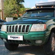 JEEP GRAND CHEROKEE 1999- CAPPAFE KAPUT RÜZGARLIĞI