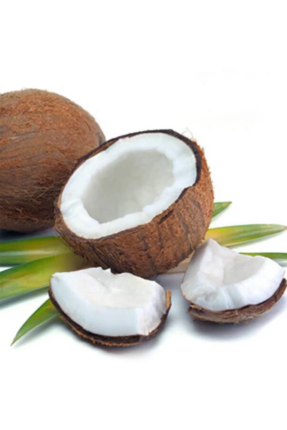 Organik Bitkim Hindistan Cevizi (Rendelenmiş) 150 gr - Resim 3