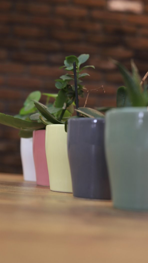 Tardan Athens 5li Mini Seramik Saksı Seti - 3