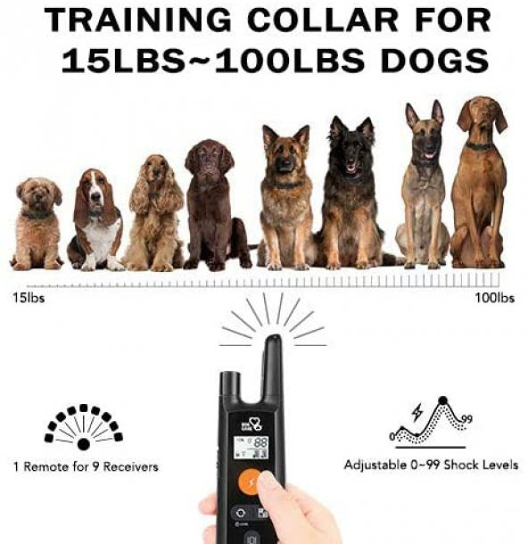 Dog Care TC01 3 Modlu Ultrasonic Eğitim Tasması - 4