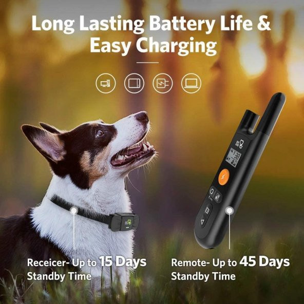 Dog Care TC01 3 Modlu Ultrasonic Eğitim Tasması - 7