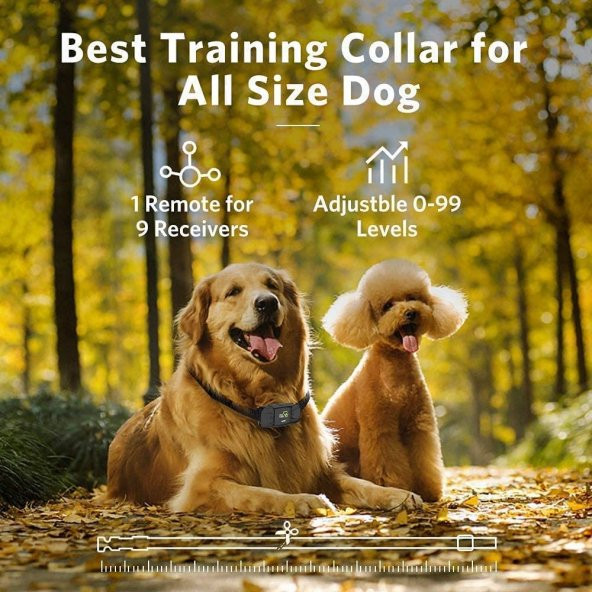 Dog Care TC01 3 Modlu Ultrasonic Eğitim Tasması - 11