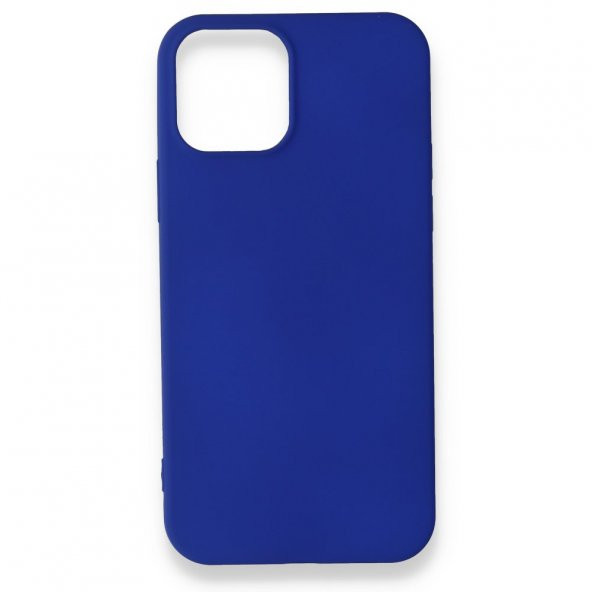 iPhone 12 Mini Kılıf Renkli Silikon Kılıf Esnek Kapak PRM - 5