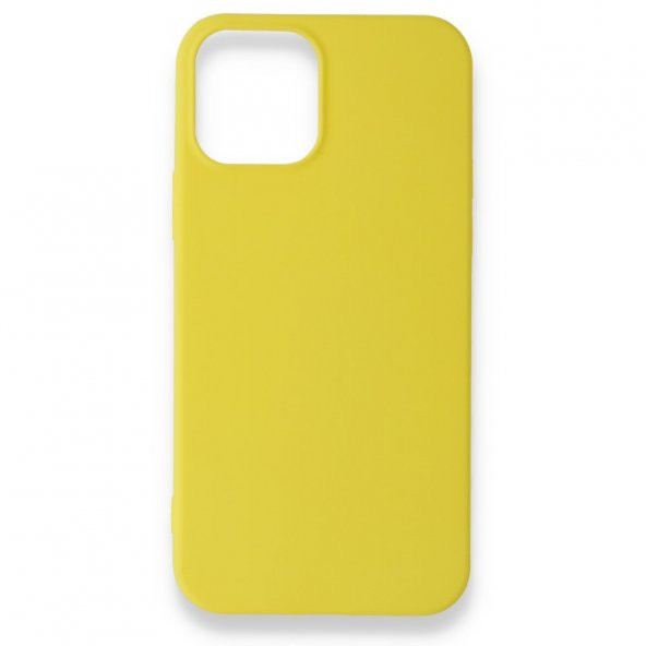 iPhone 12 Mini Kılıf Renkli Silikon Kılıf Esnek Kapak PRM - 9