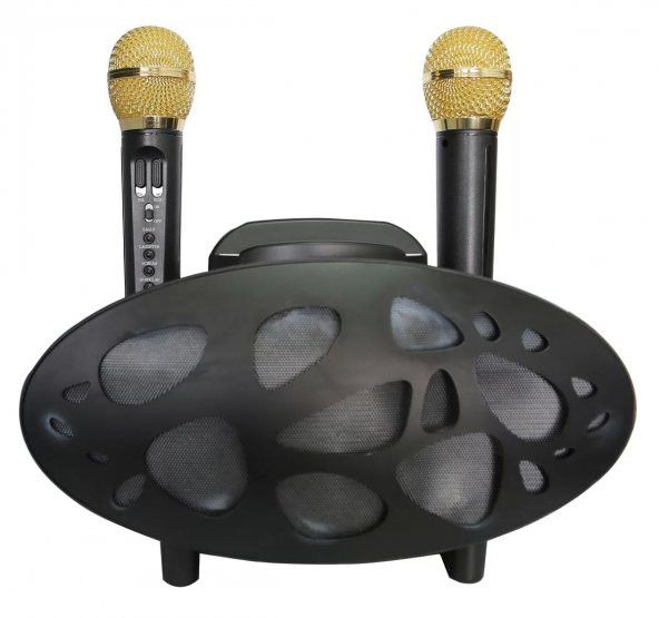 Taşınabilir Kablosuz Bluetooth 30W Çift Mikrofon Karaoke 3D Hoparlör XY-168