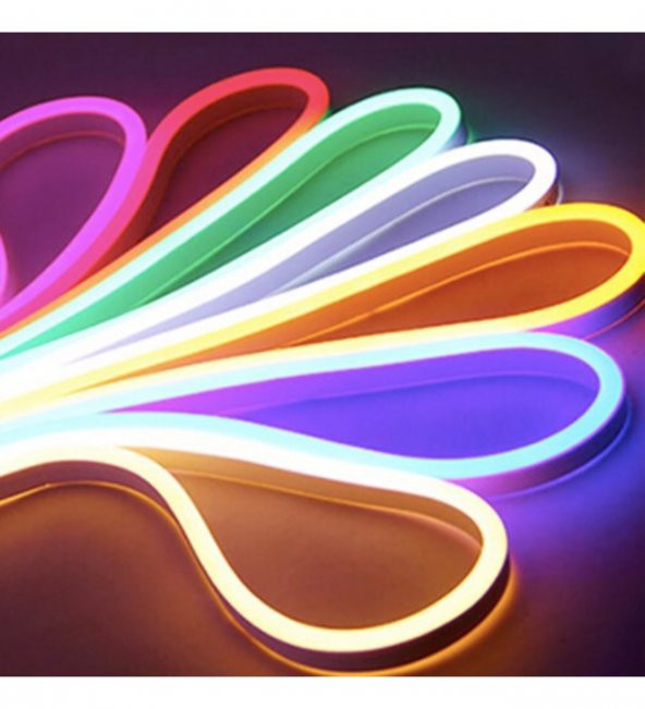220 Volt Neon LED Işık 3 Metre Tak Çalıştır Esnek Hortum Şerit LED Aydınlatma Gün Işığı - 5