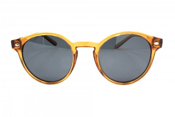 1073 C31 49 Polo Exchange Polarize Güneş Gözlüğü ürün görseli 1