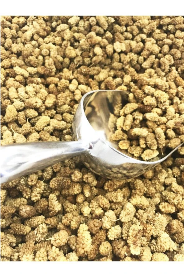 Organik Bitkim Malatya Dut Kurusu 250 gr - Resim 3