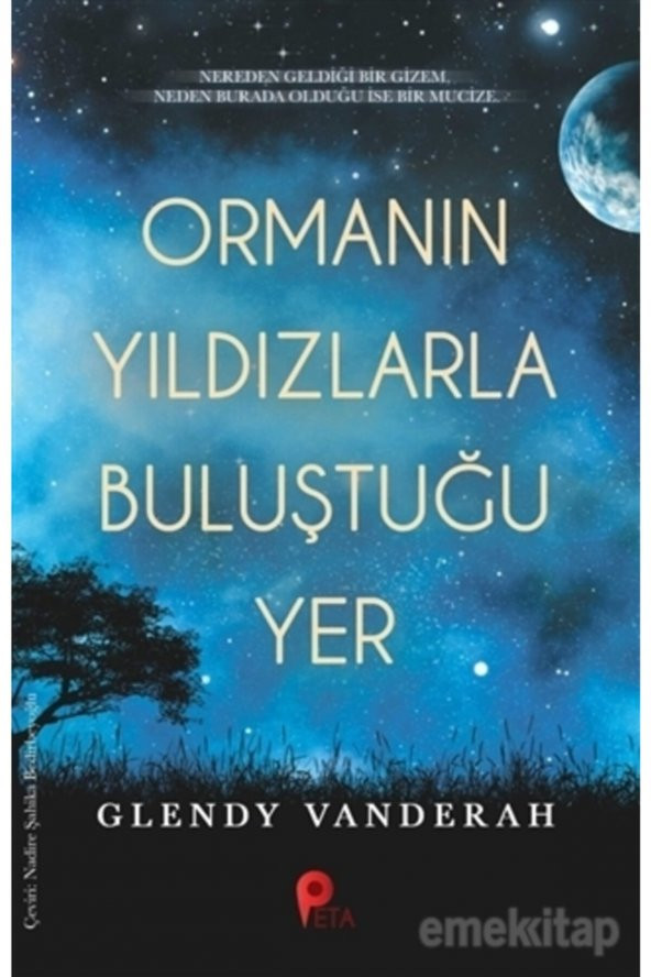Ormanın Yıldızlarla Buluştuğu Yer ürün görseli