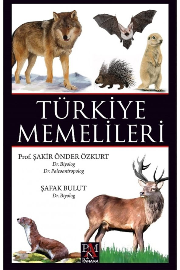 Türkiye Memelileri Şakir Önder Özkurt 9786057739575