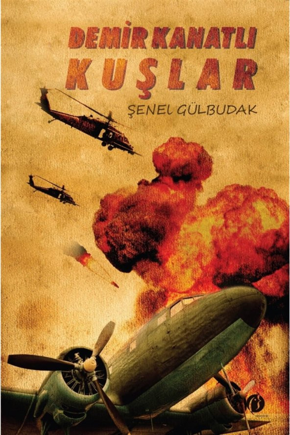 Demir Kanatlı Kuşlar - Şenel Gülbudak 9786257527408 ürün görseli