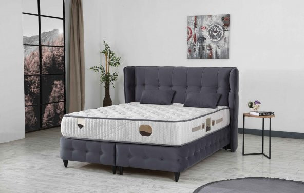 İpek Mobilya Medica Yatak Serisi 160x200 - 2