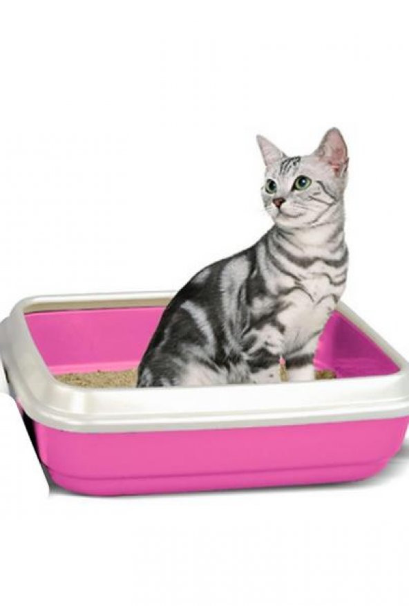 İmac Polly Yavru Kedi Açık Kedi Tuvaleti Pembe