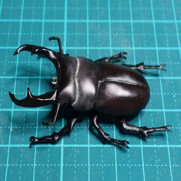 Minik Geyik Böceği (Dorcus Rectus) Plastik Aparat