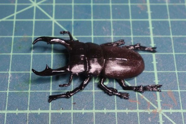 Minik Geyik Böceği (Dorcus Rectus) Plastik Aparat - 2