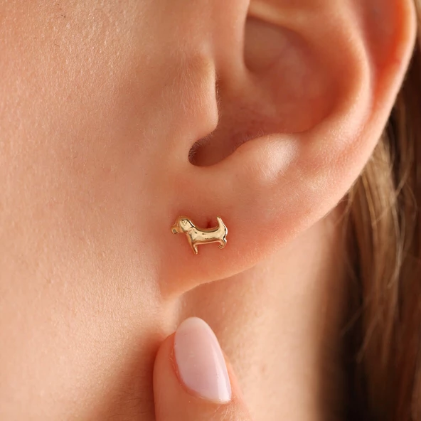 14 Ayar Altın Köpek Küpe Mi Hav Hav - Resim 3