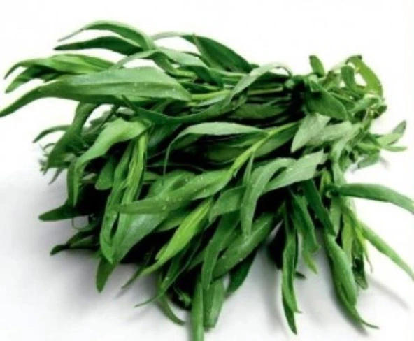 Yerli Ata Tohumu Tarhun 10 Adet ürün görseli 1