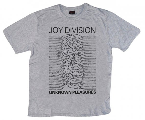 Joy Division Baskılı T-shirt    GRİ L