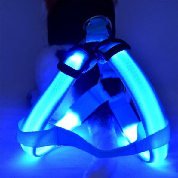 DailyTech Ayarlanabilir LED Işıklı Pet Köpek Göğüs Tasması Kemeri - 2