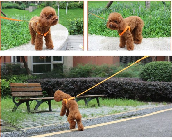 DailyTech Ayarlanabilir LED Işıklı Pet Köpek Göğüs Tasması Kemeri - 8