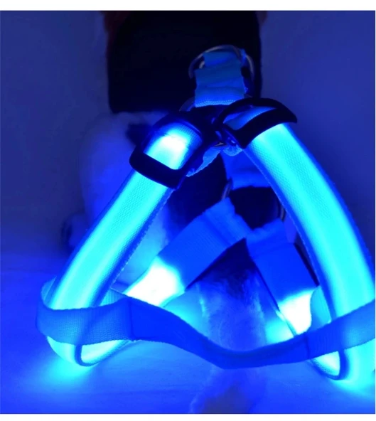 DailyTech Ayarlanabilir LED Işıklı Pet Köpek Göğüs Tasması Kemeri - 6