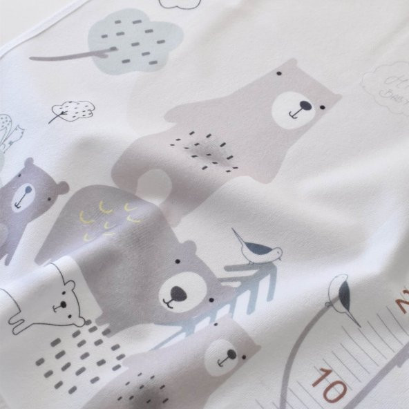 Bibaby Bear Family Muşamba Alt Açma 65181 Ekru - 6