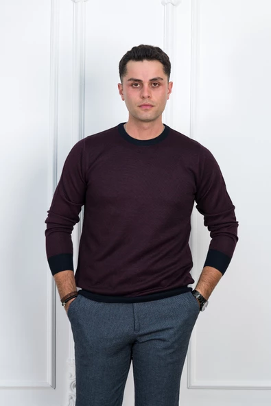 WOOLEN WORLD KUŞ GÖZÜ SIFIR YAKA REGULAR FİT ERKEK KAZAK - 5