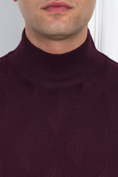 WOOLEN WORLD YARIM BALIKÇI REGULAR FİT DESENLİ ERKEK KAZAK - Resim 4