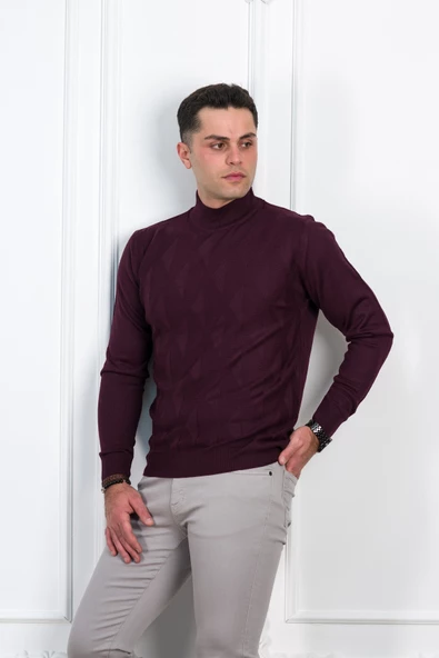 WOOLEN WORLD YARIM BALIKÇI REGULAR FİT DESENLİ ERKEK KAZAK ürün görseli