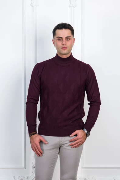 WOOLEN WORLD YARIM BALIKÇI REGULAR FİT DESENLİ ERKEK KAZAK - Resim 3