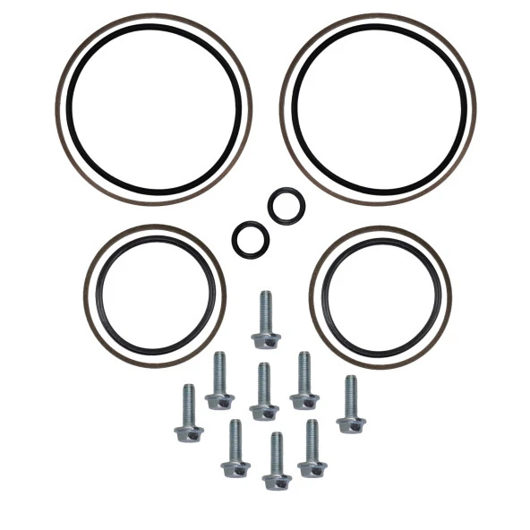 BMW E46,E39,E60,E36,E85(M52TU,M56,M54) için Çift Vanos Tamir Seti - 9
