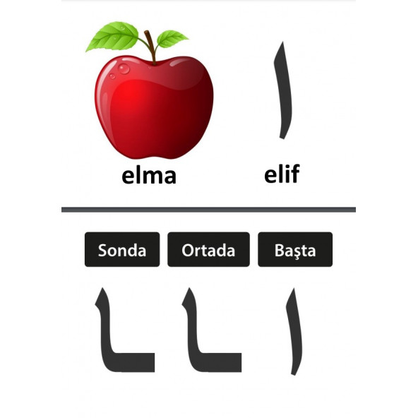 Pratik Elif-BA Kartları (Laminasyonlu SERT Kartlar) - 2