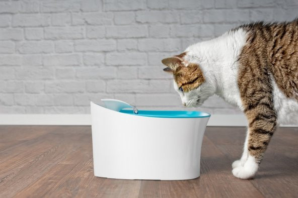 BrezzaPet Kedi Köpek Için Otomatik Su Pınarı 2,5 LT